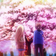Illustration for article titled Ani-TAY Review - Sakurasou No Pet Na Kanojo